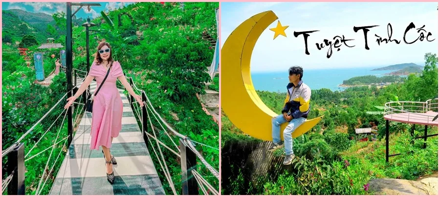 top-7-trai-nghiem-nen-thu-khi-du-lich-tuyet-tinh-coc-qui-nhon-a567